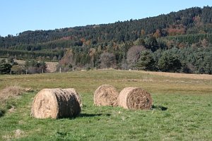 bottes de paille