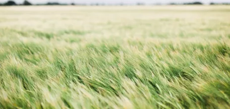 Image de Bruno Martins sur Unsplash