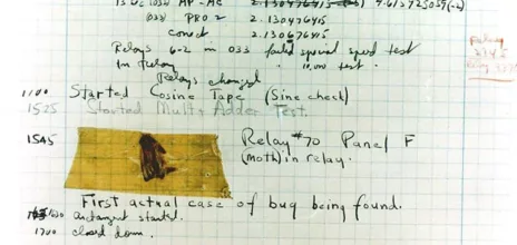 first_bug