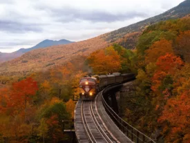 Train au Hampshire Image de Balazs Busnyak