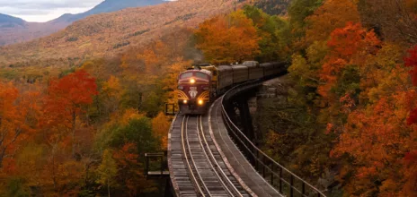 Train au Hampshire Image de Balazs Busnyak