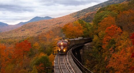 Train au Hampshire Image de Balazs Busnyak