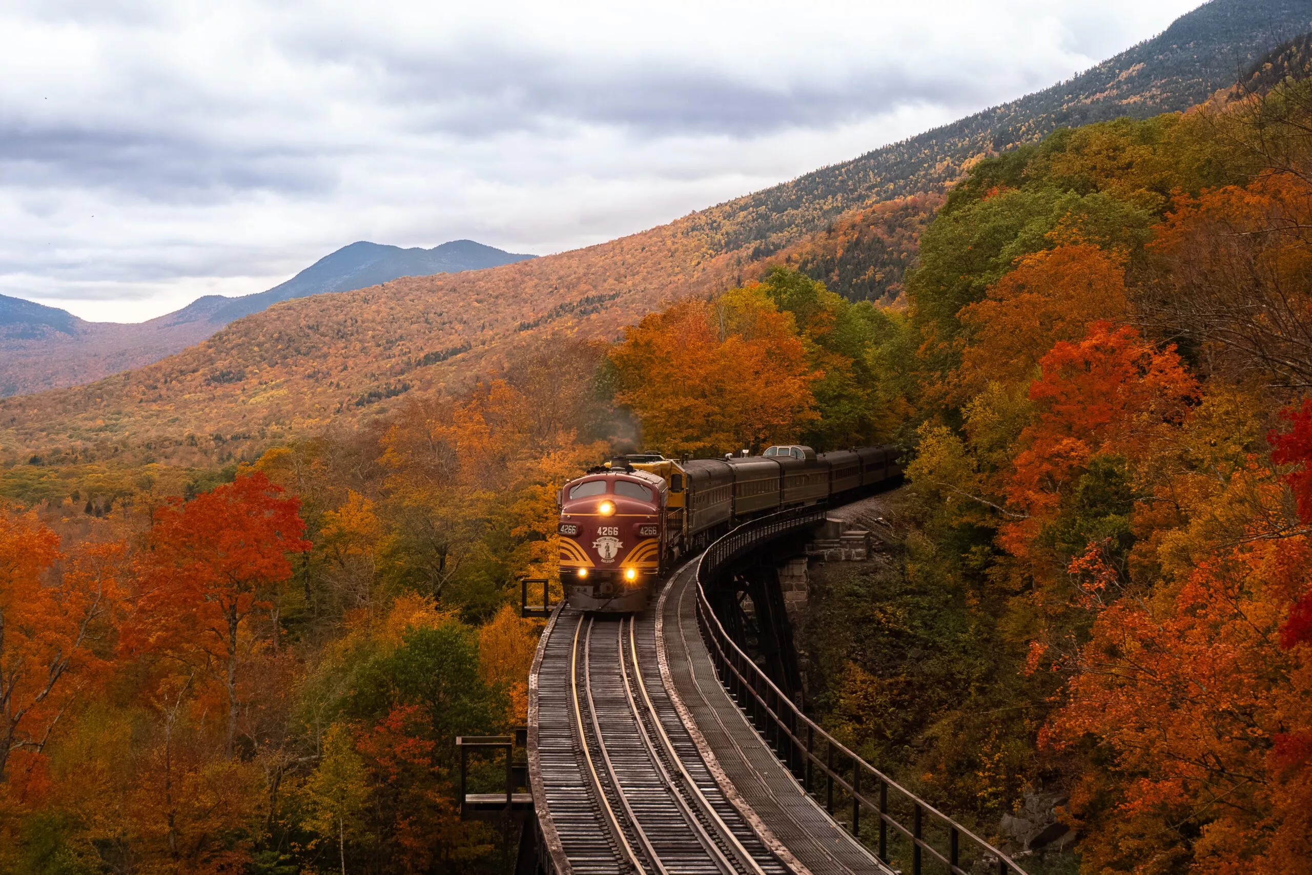 Train au Hampshire Image de Balazs Busnyak