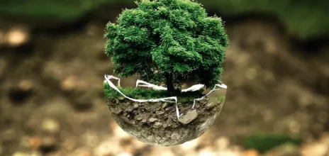 environmental-protection-683437_1280