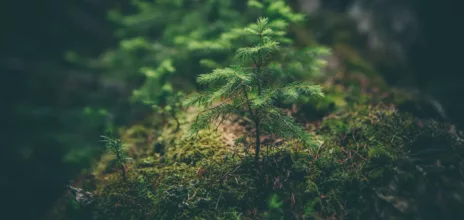 Image de matthew Smith sur Unsplash