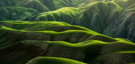 Image de Qinpbao Meng sur Unsplash