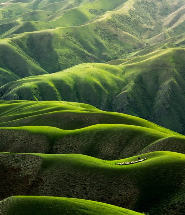 Image de montagnes vertes Image de Qinpbao Meng sur Unsplash