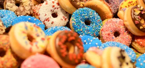 théorie du donut