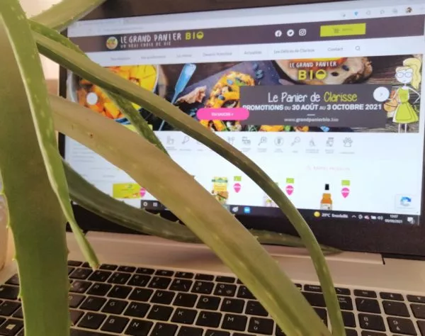 attaque de la plante verte