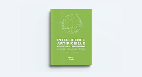 Couverture Livre IA et Protection de l'environnement