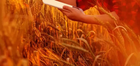 Développement du site du semancier international LG Seeds (Limagrain Europe)
