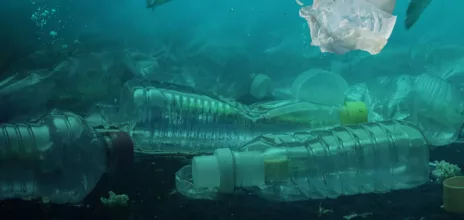 Développement de l'application mobile pour Project Rescue Ocean