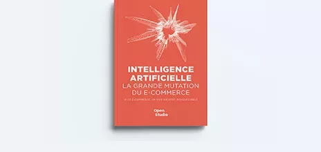 Couverture Livre IA et e-commerce
