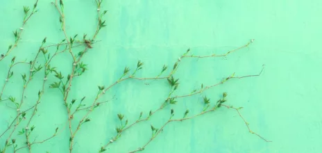 Photo de Runze Shi sur Unsplash