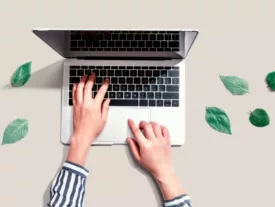Person using a laptop computer with green leaves
