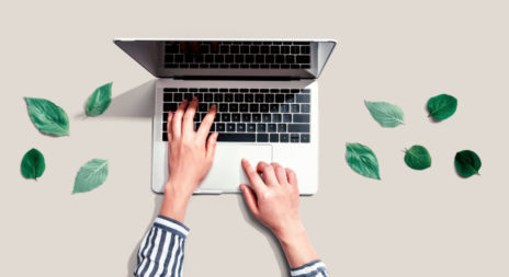 Person using a laptop computer with green leaves