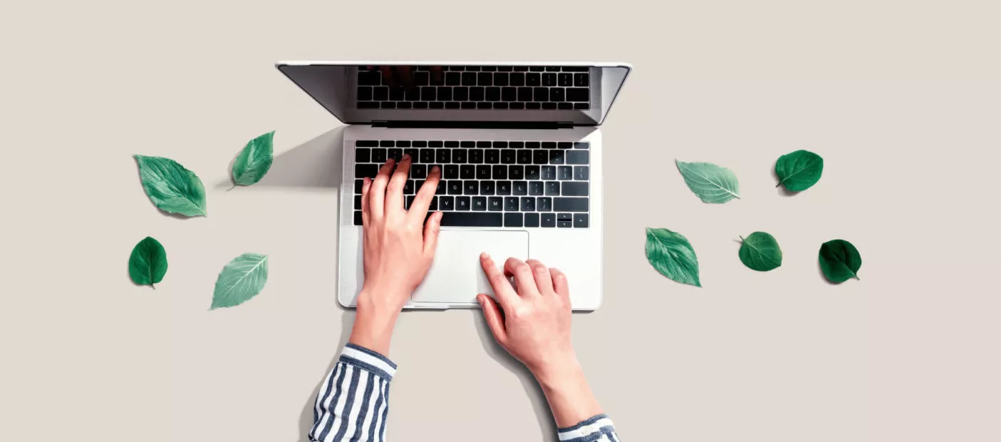 Person using a laptop computer with green leaves