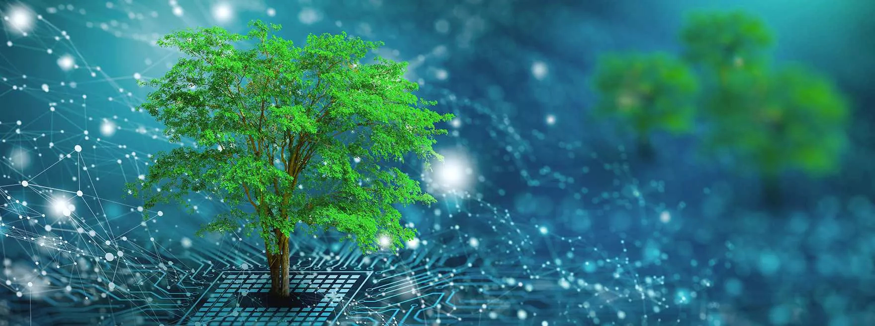 reduire-empreinte-environnementale