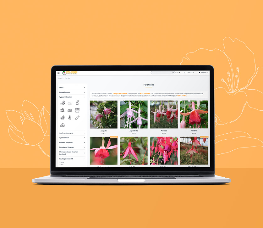 Site e-commerce de Fuchsia-Delhommeau