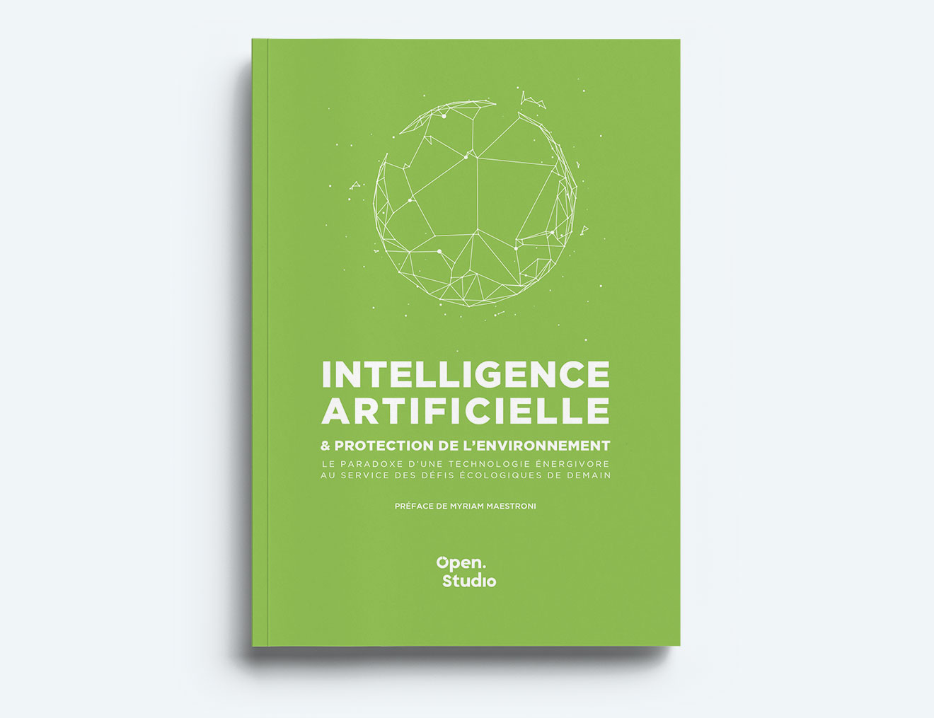 Intelligence Artificielle et Protection de l'Environnement