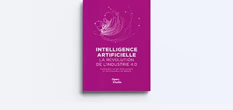 Couverture livre IA et industrie 4.0