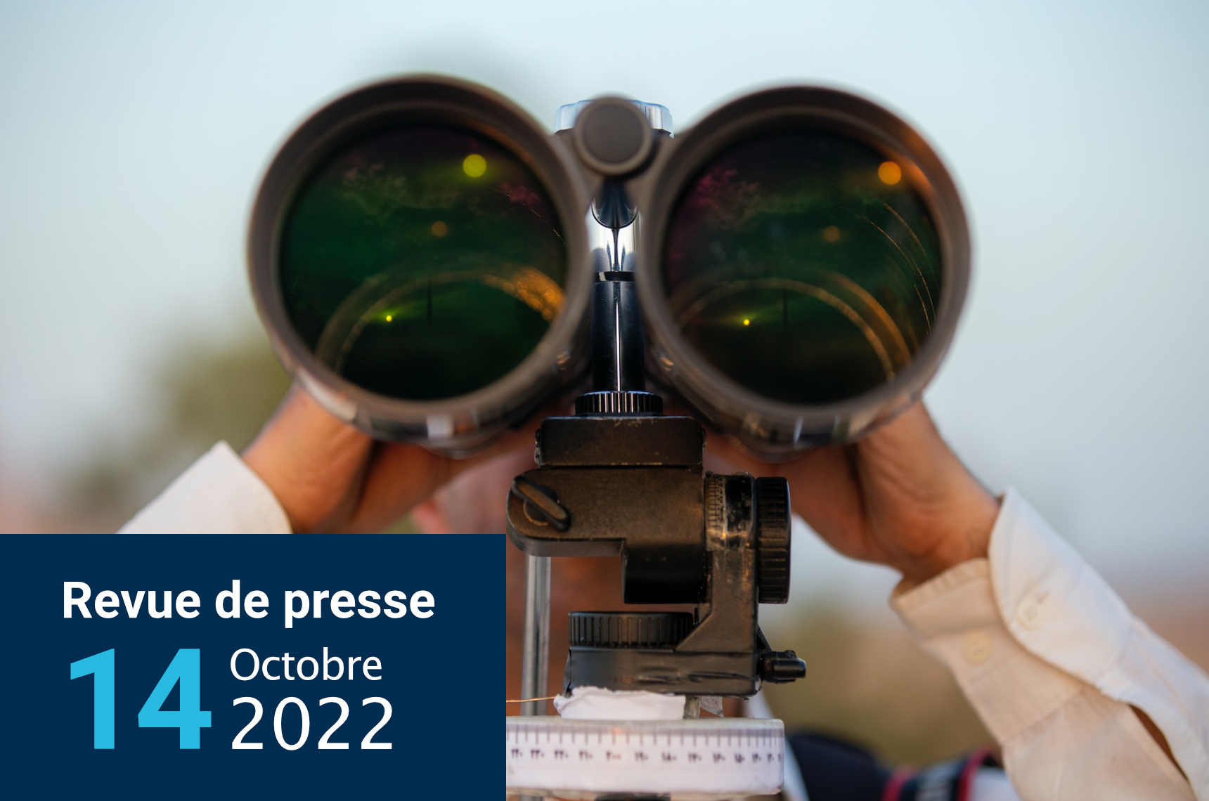 revue de presse 1