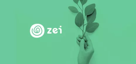 Article partenariat avec Zei