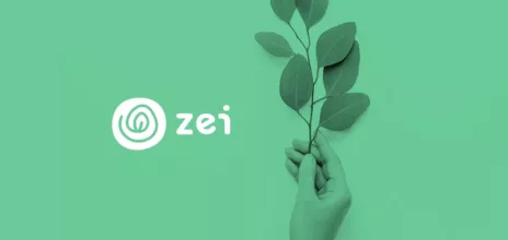 Article partenariat avec Zei