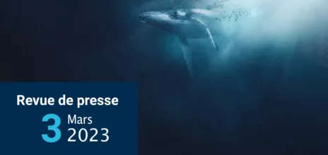 revue de presse 3 mars 2023
