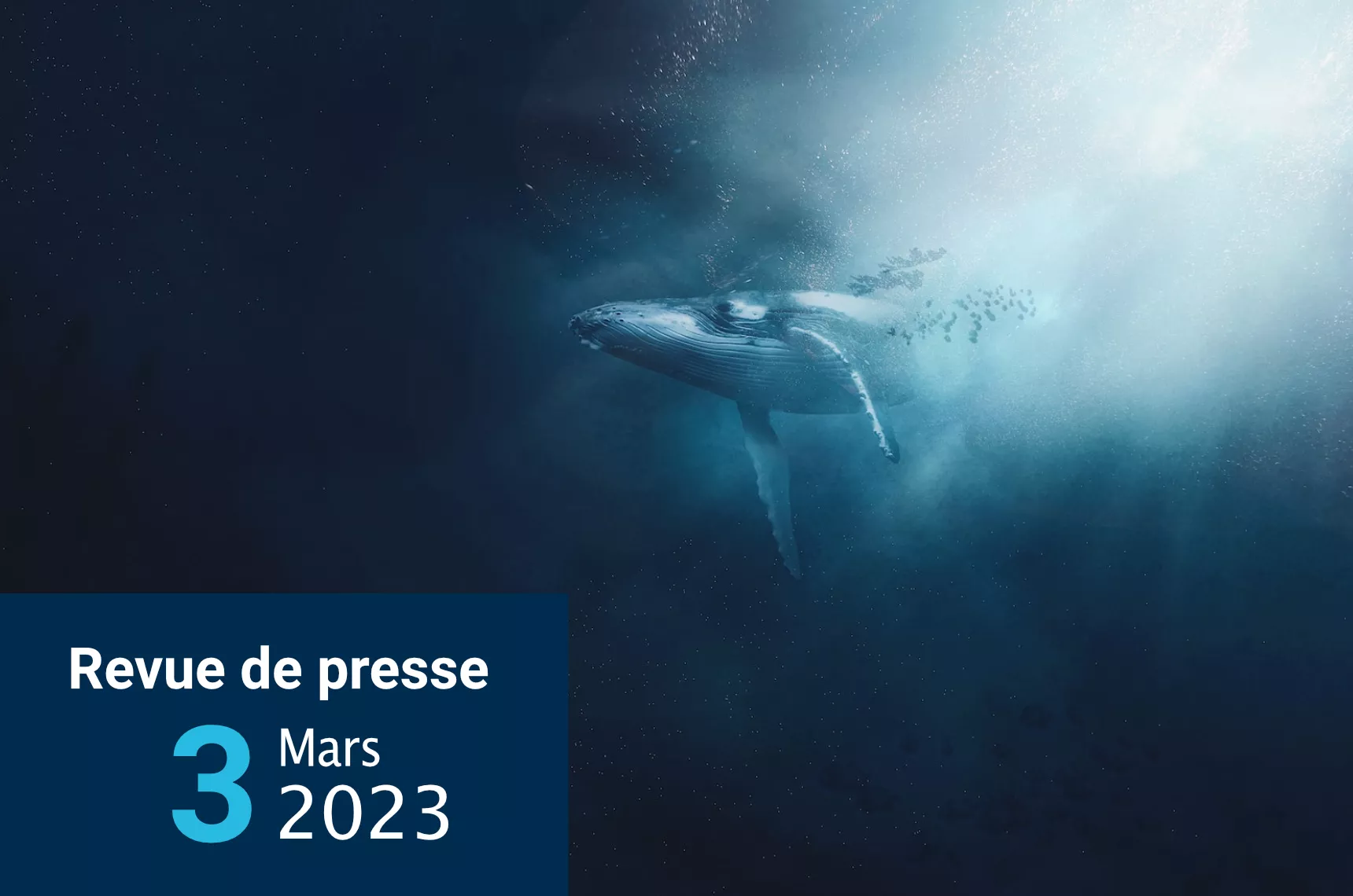 revue de presse 3 mars 2023