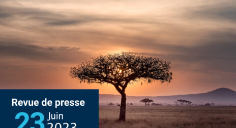 Revue de presse 23062023