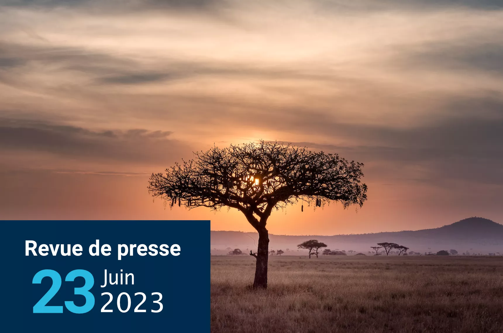 Revue de presse 23062023