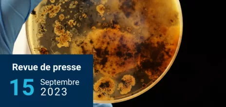 Revue-de-presse 15 septembre