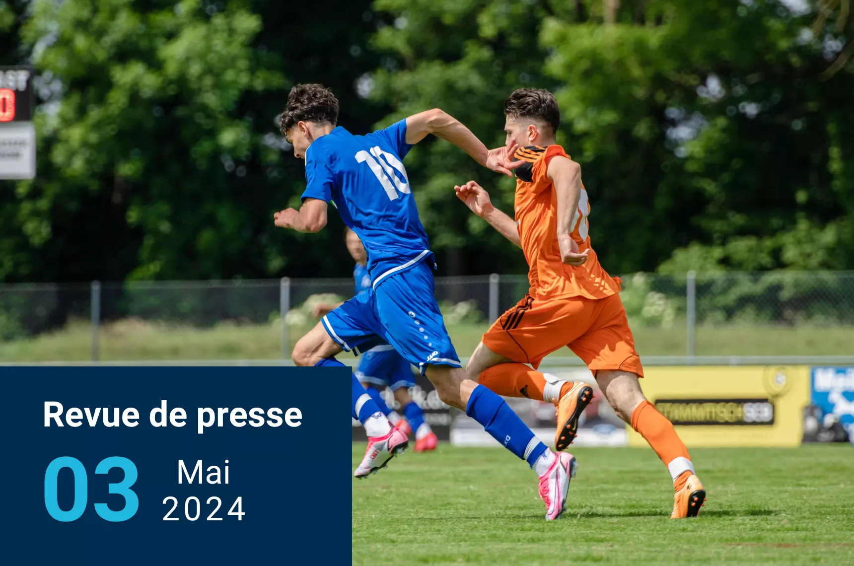Revue de presse (5)