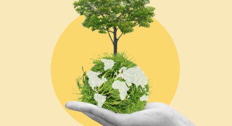 Hand holding green earth, tree, ESG, CO2, net zero, environment, global sustainable, Save our planet, World Environment Day, World Earth Day, Climate change, Nature, Environment, Globe, Manager