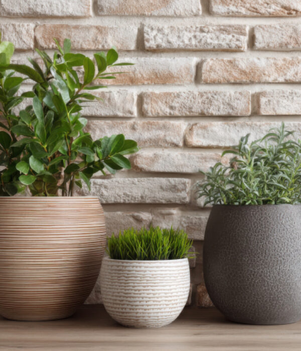 HeroImage_JardinDeMado